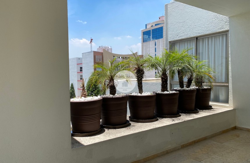 10 de 38